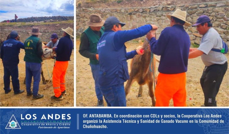 Como parte de nuestros servicios complementarios, la Cooperativa Los Andes promueve actividades de fortalecimiento de capacidades y de salud